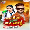 About Maliya Hamar Mar Jai Song